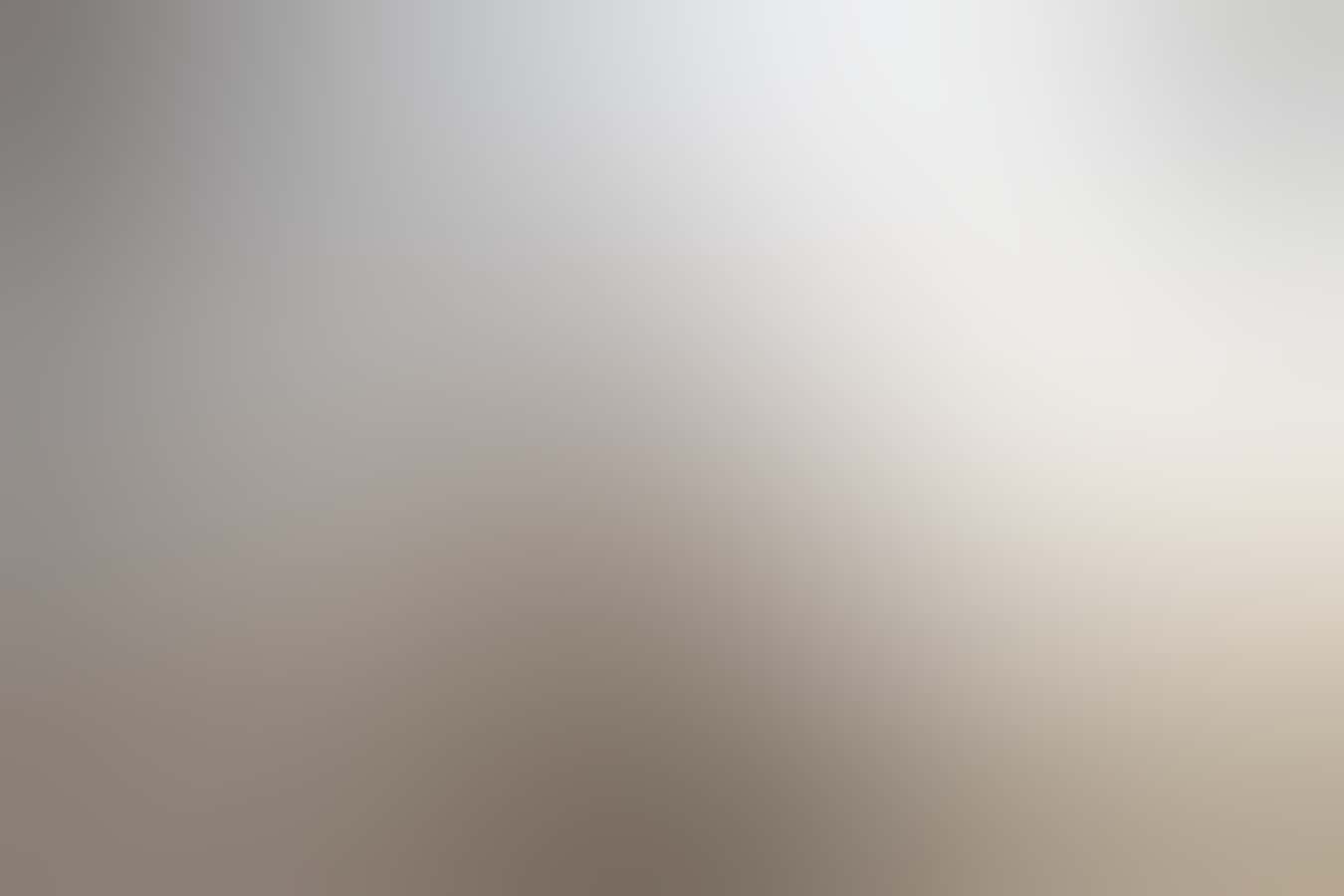 Quokka on Rottnest Island