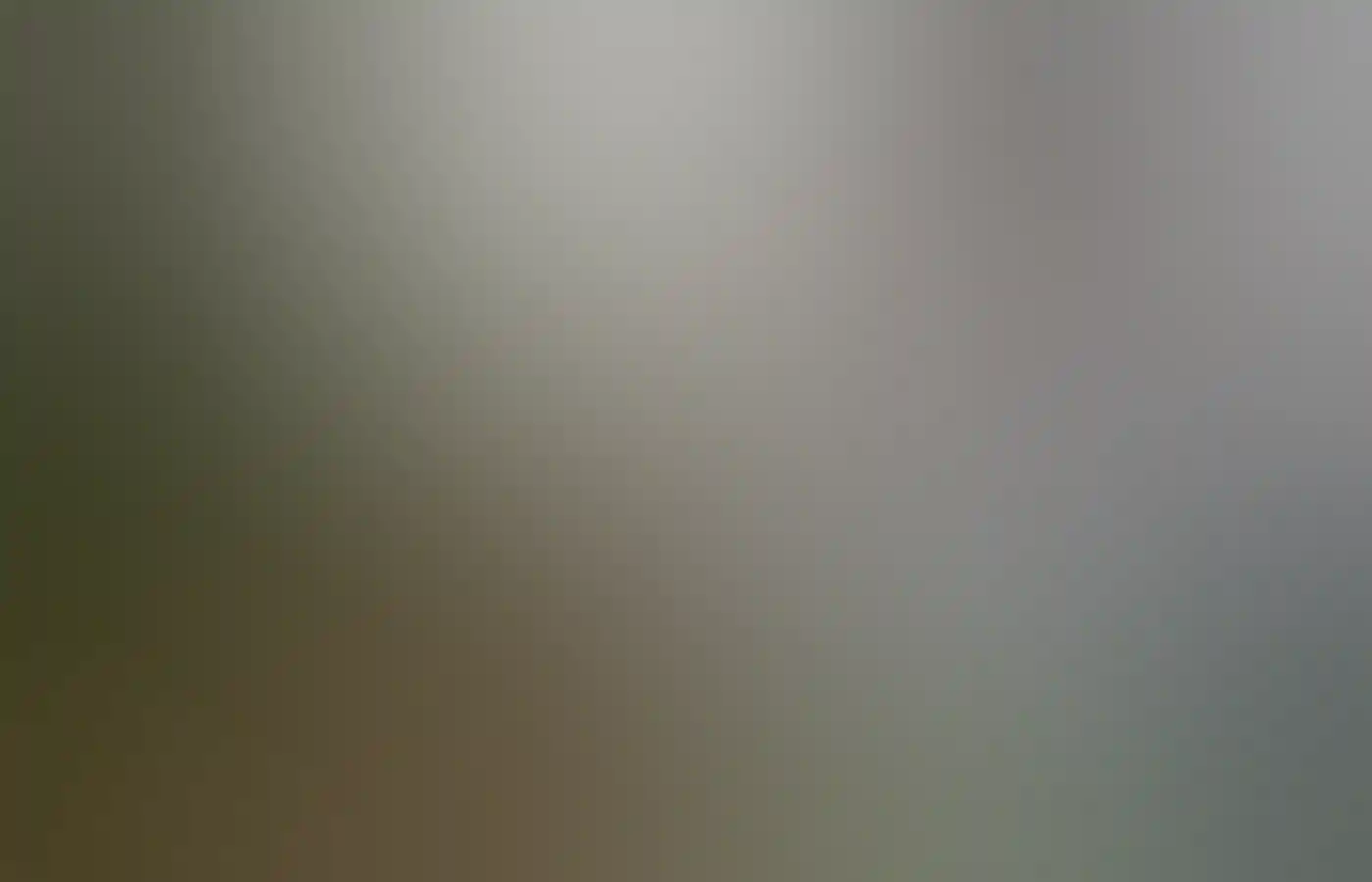 On tour with Josh Whiteland, Koomal Dreaming