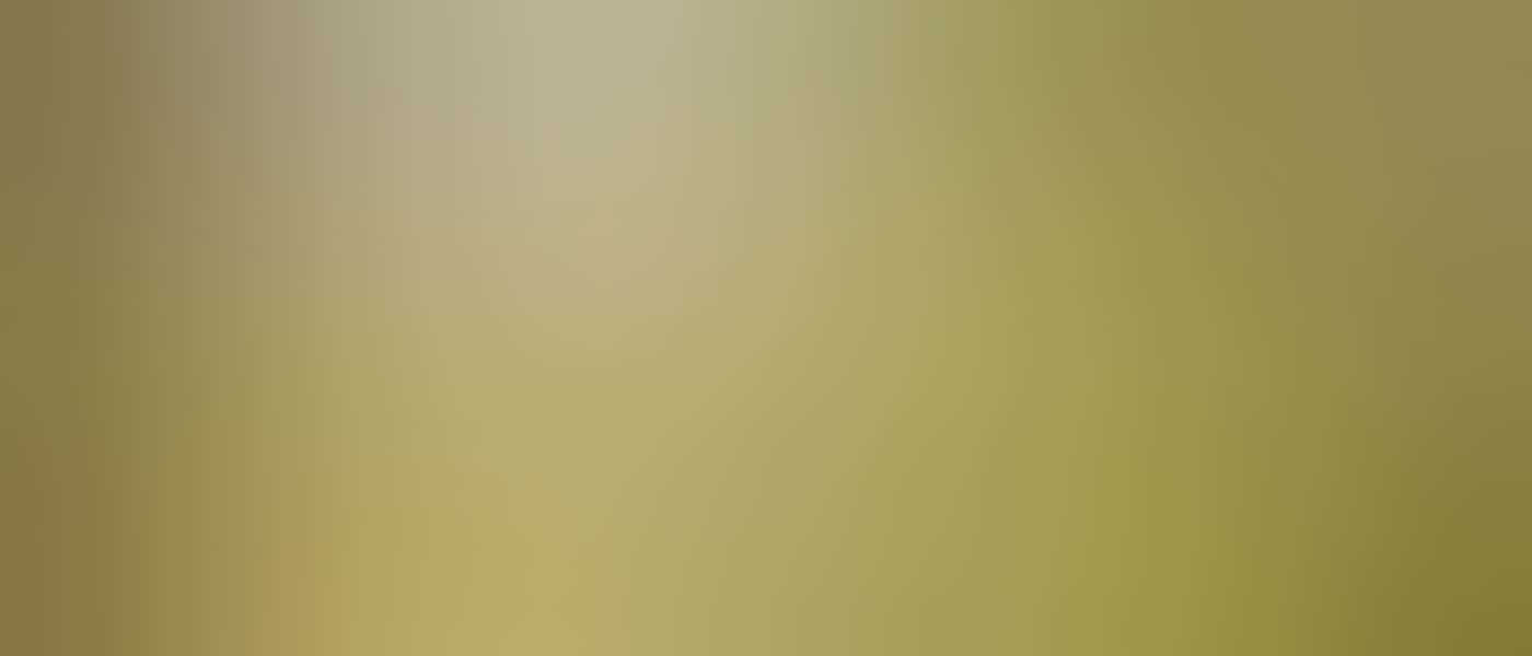 Group tour with Dale Tilbrook Experience at Mandoon Estate