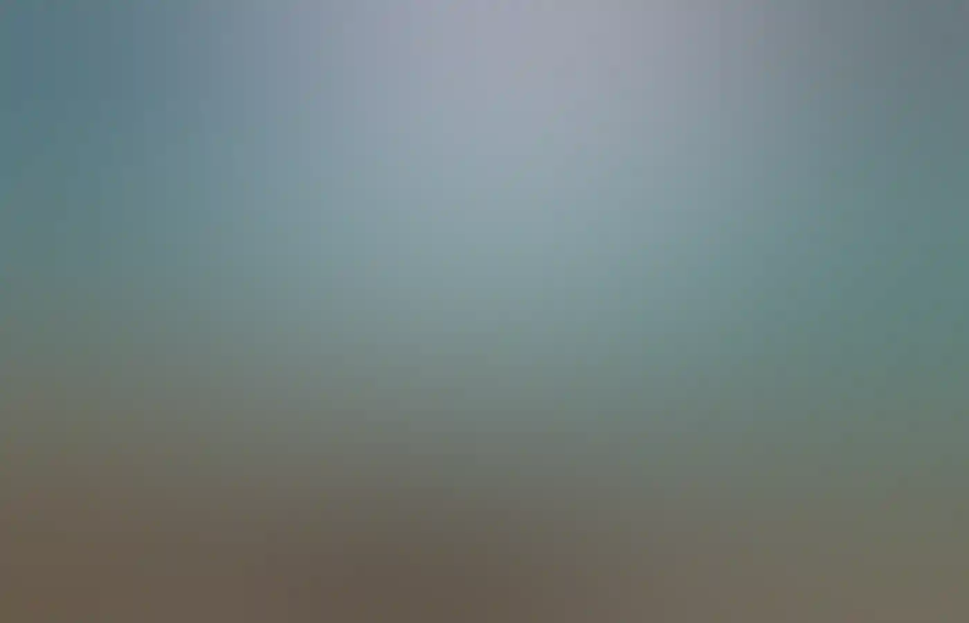 Underwater shot of coral in Ningaloo Reef