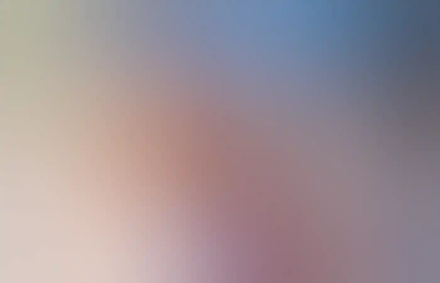 Captain Cook Cruises, Swan Valley