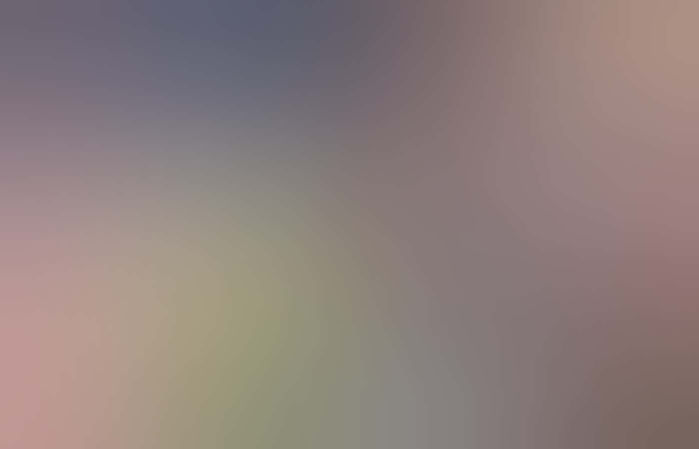 Lunch at Wise Wine by Matt Deakin