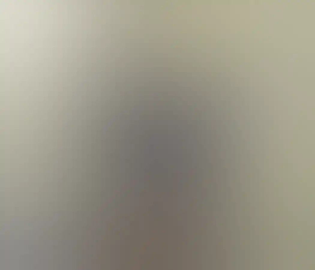 コアラとジョーイ、パース動物園