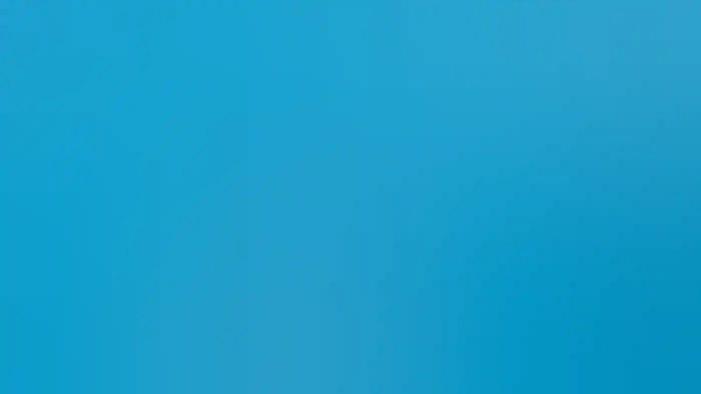 Orcas swimming at Bremer Canyon