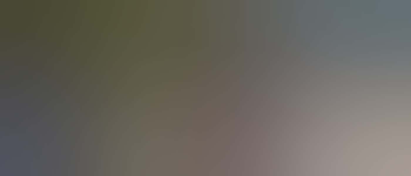 Tour with In Culture Tours in Fremantle