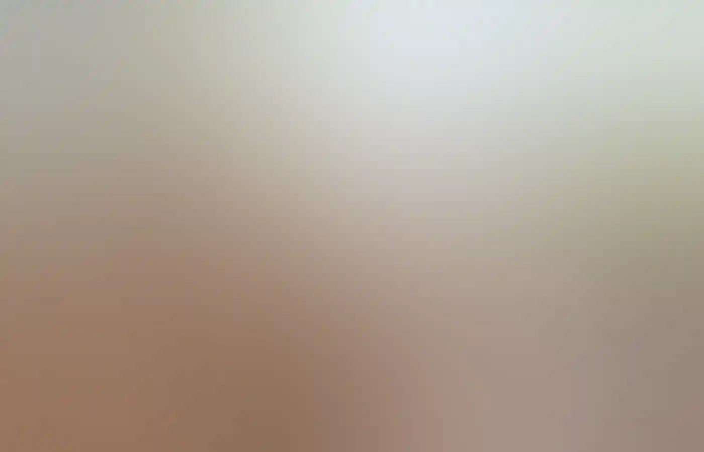 Quokka (Setonix brachyurus) on Rottnest Island.