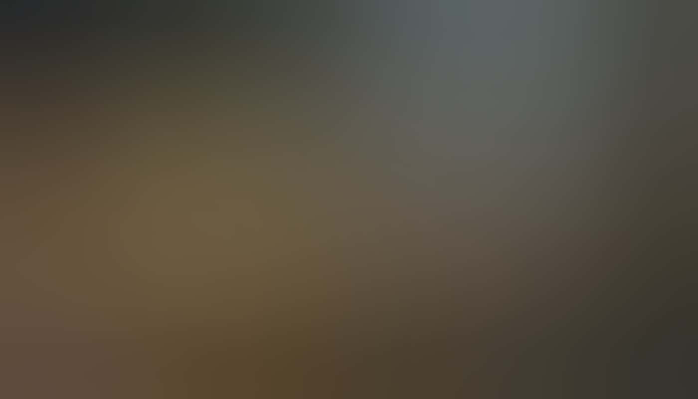 People watching a Lotterywest UWA film at The Sommerville outdoor theatre in Perth