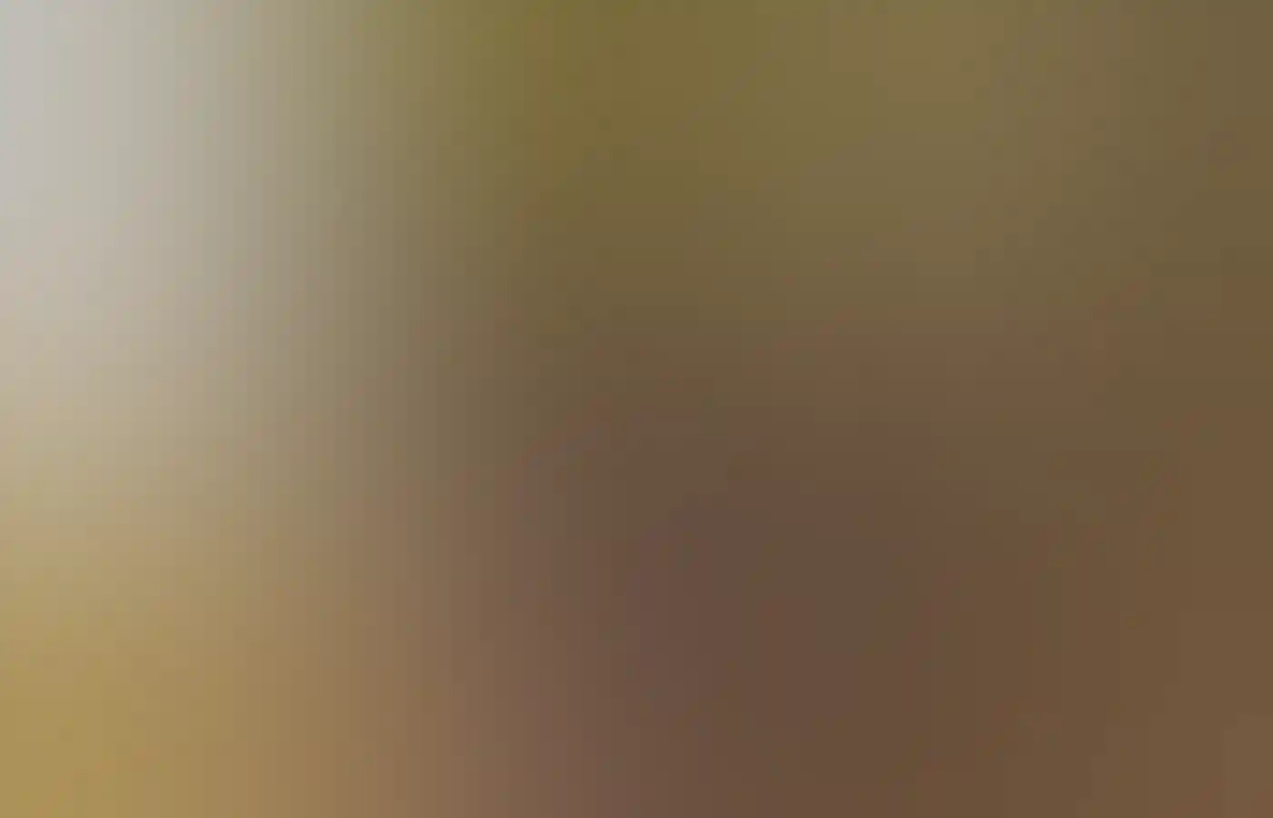 Daniel Ricciardo and his best mate mountain biking in Collie