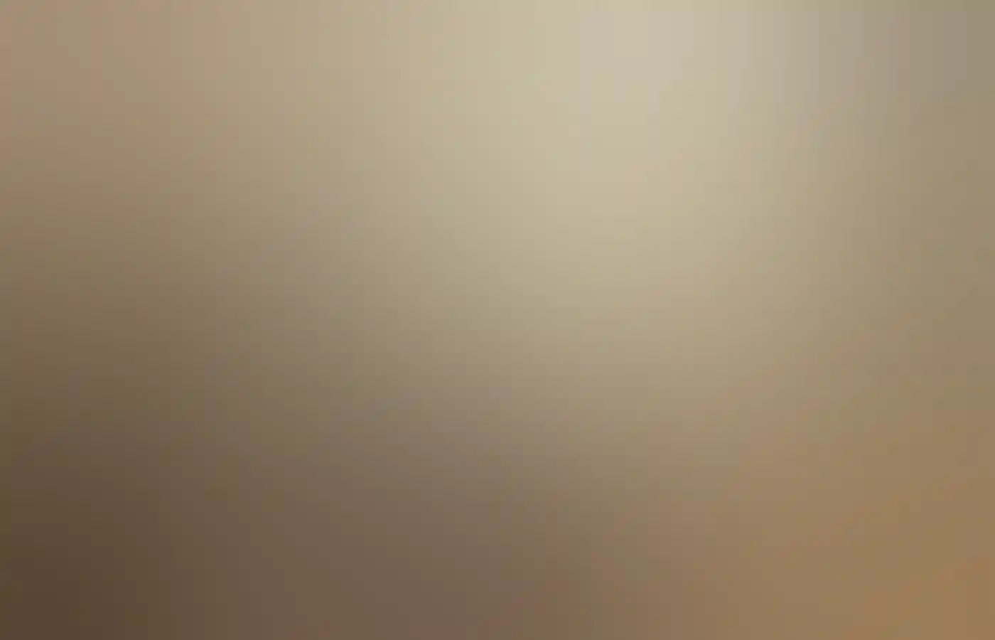 Hunting for truffles at Truffle Hill