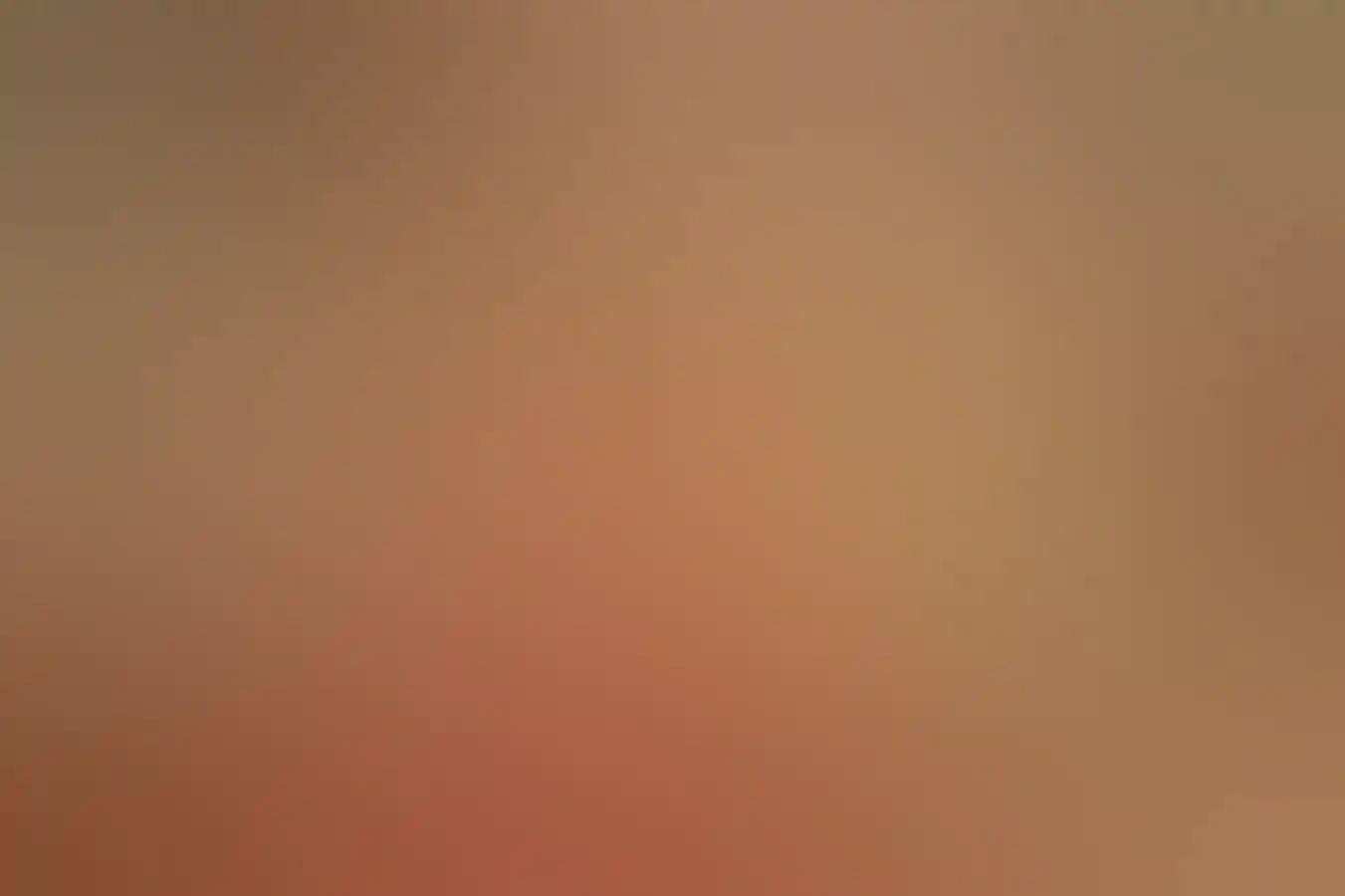 Bush tucker talk and tasting experience at Maalinup Aboriginal Gallery