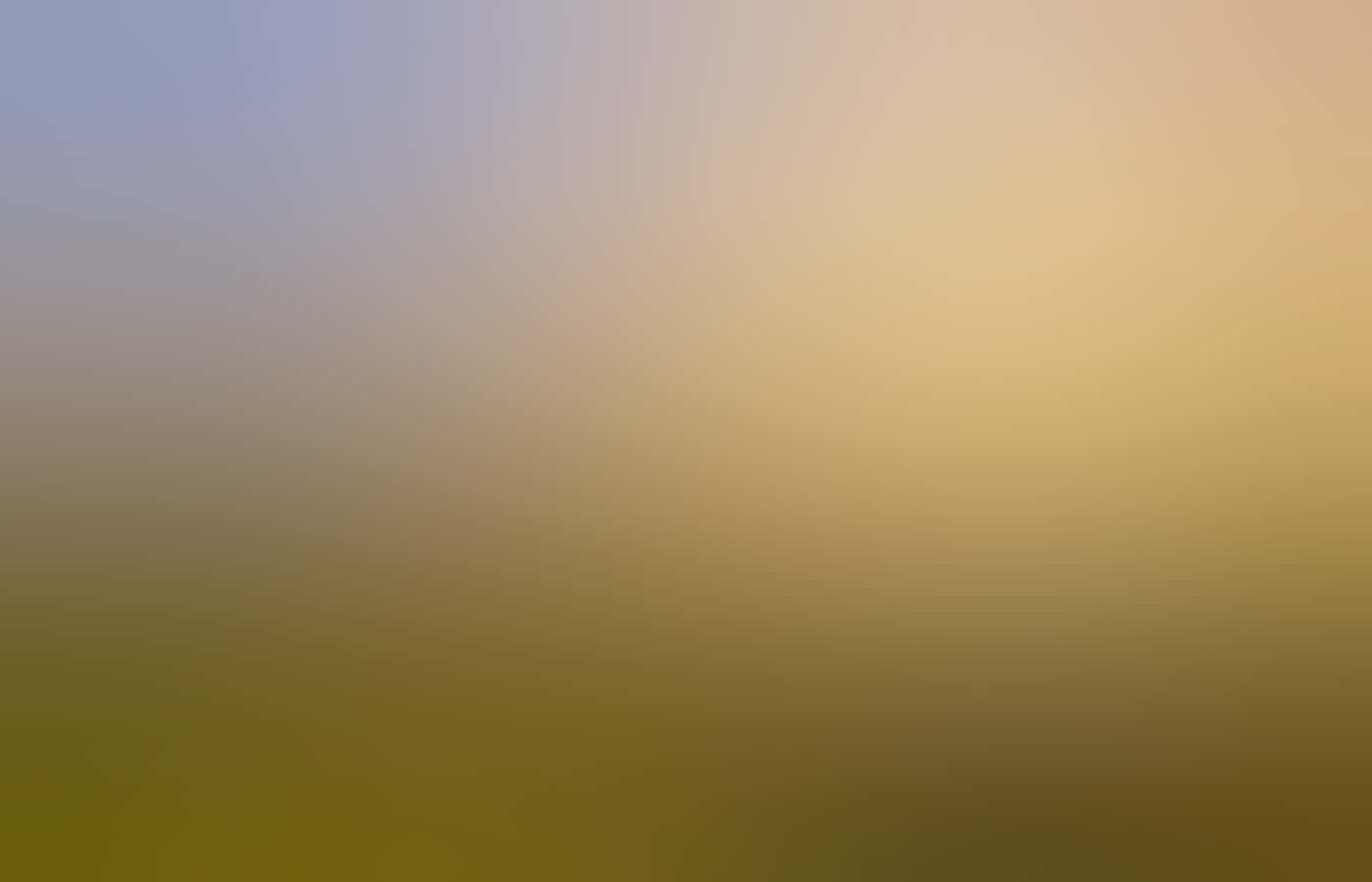 couple at Kings Park in Perth