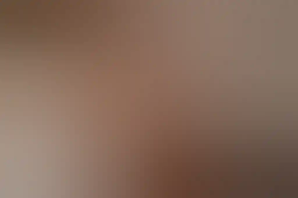 費里曼圖同種麵包餐廳的食客。