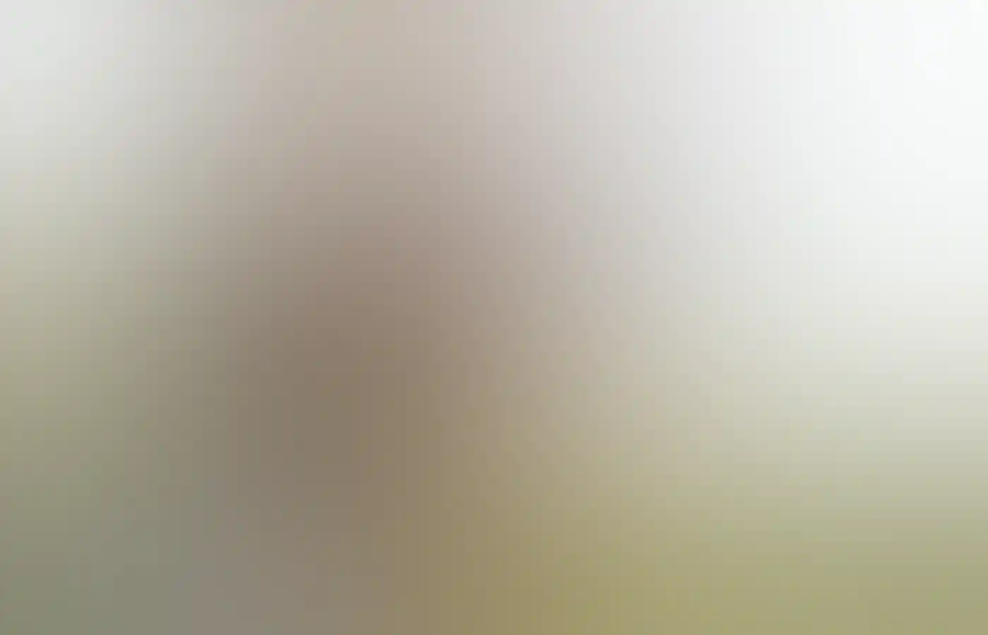 劳拉·霍姆斯,又名探险家劳拉。