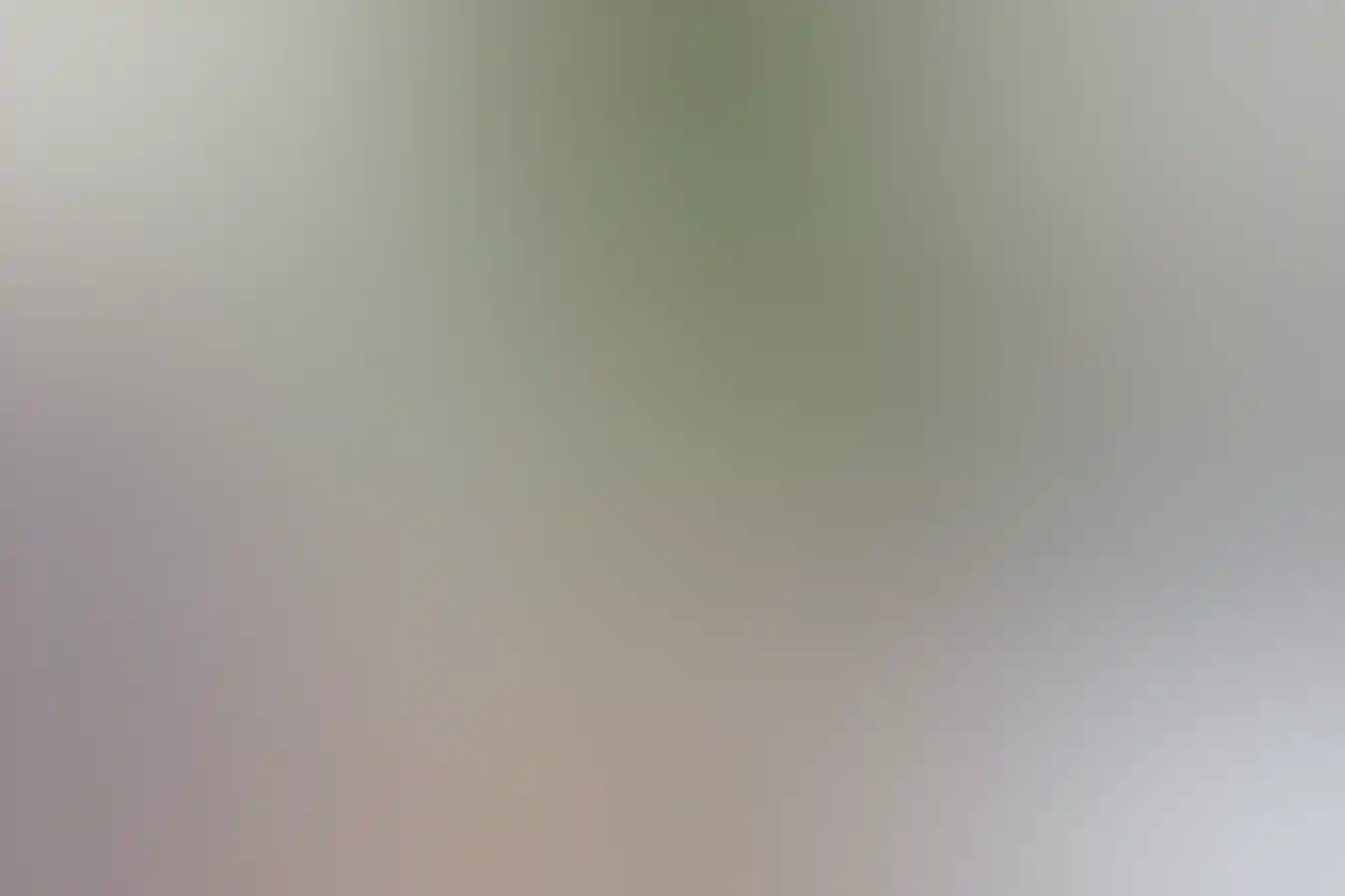 在布鲁姆 (Broome)青芒果咖啡馆用餐