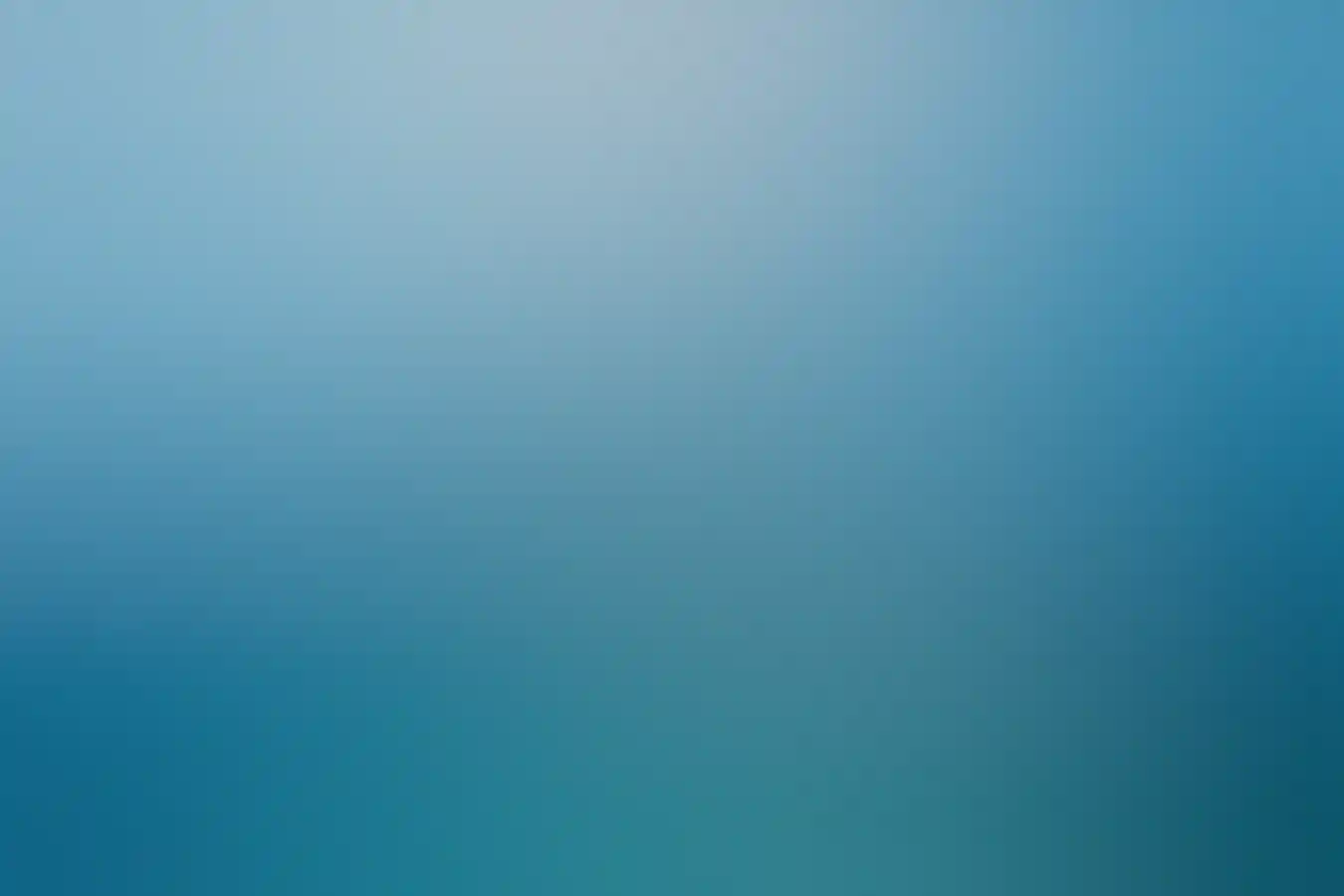 Swimming with Manta rays (Manta birostris), in Ningaloo Marine Park