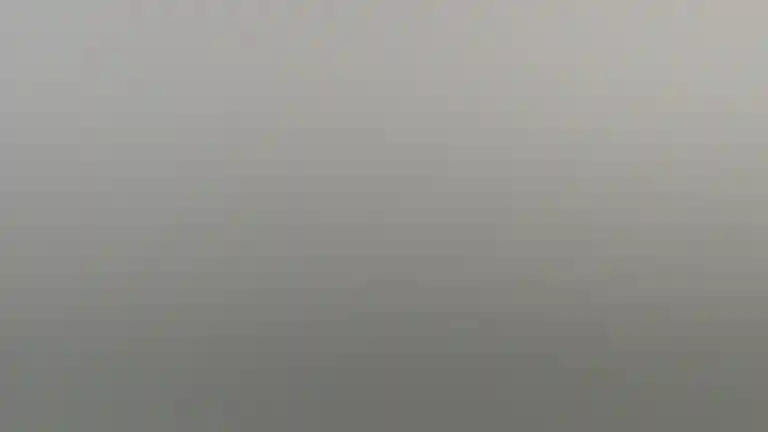 玛格丽特河 (Margaret River) 冲浪专业 2017 由彼得乔利威尔逊