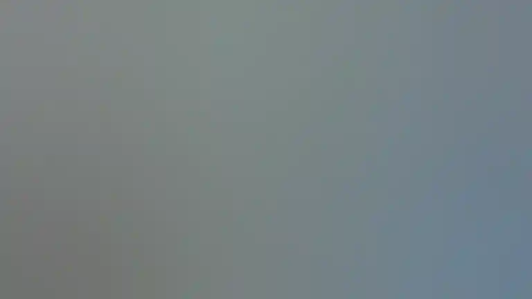 德克哈托格島Urchin Point 營地鳥瞰圖