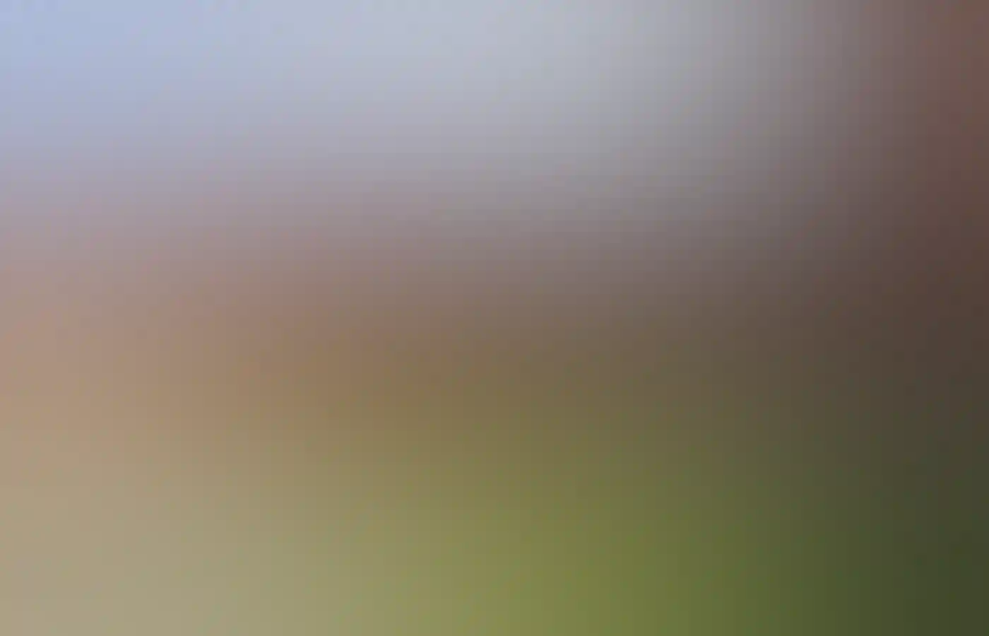 Yardie Creek Boat Tours, Ningaloo