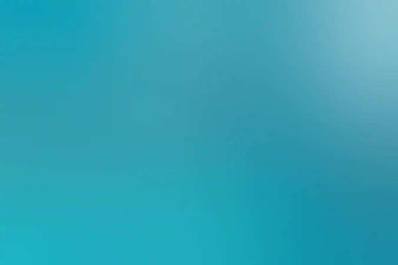 Aerial view of Manta rays and a Turtle, Quobba Station north of Carnarvon