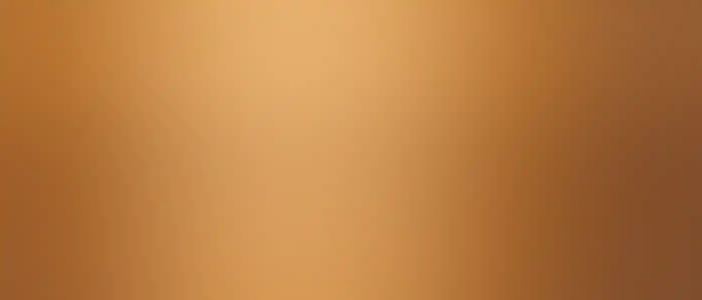 布鲁姆凯布尔海滩的骆驼