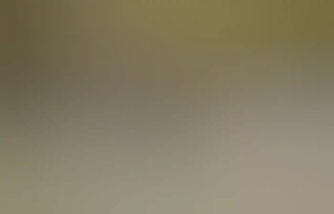 Bart-Pigram-Mangroven-Tour von Narlijia Experiences