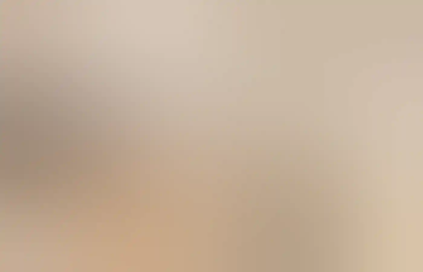 Shell collection at Belleview Shell Collection