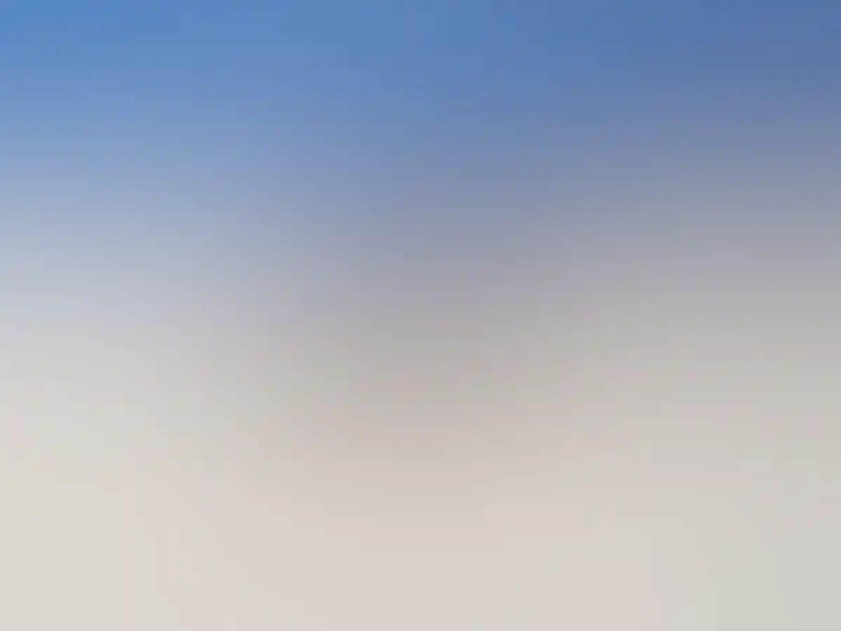 Kangaroo at Lucky Bay near Esperance