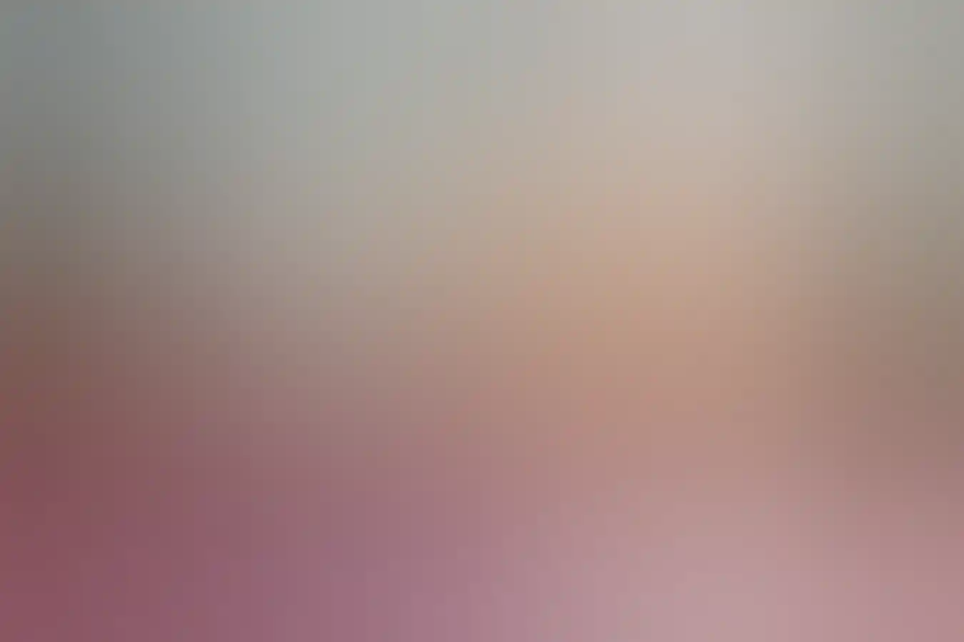 Drinks at Il Lido Italian Canteen