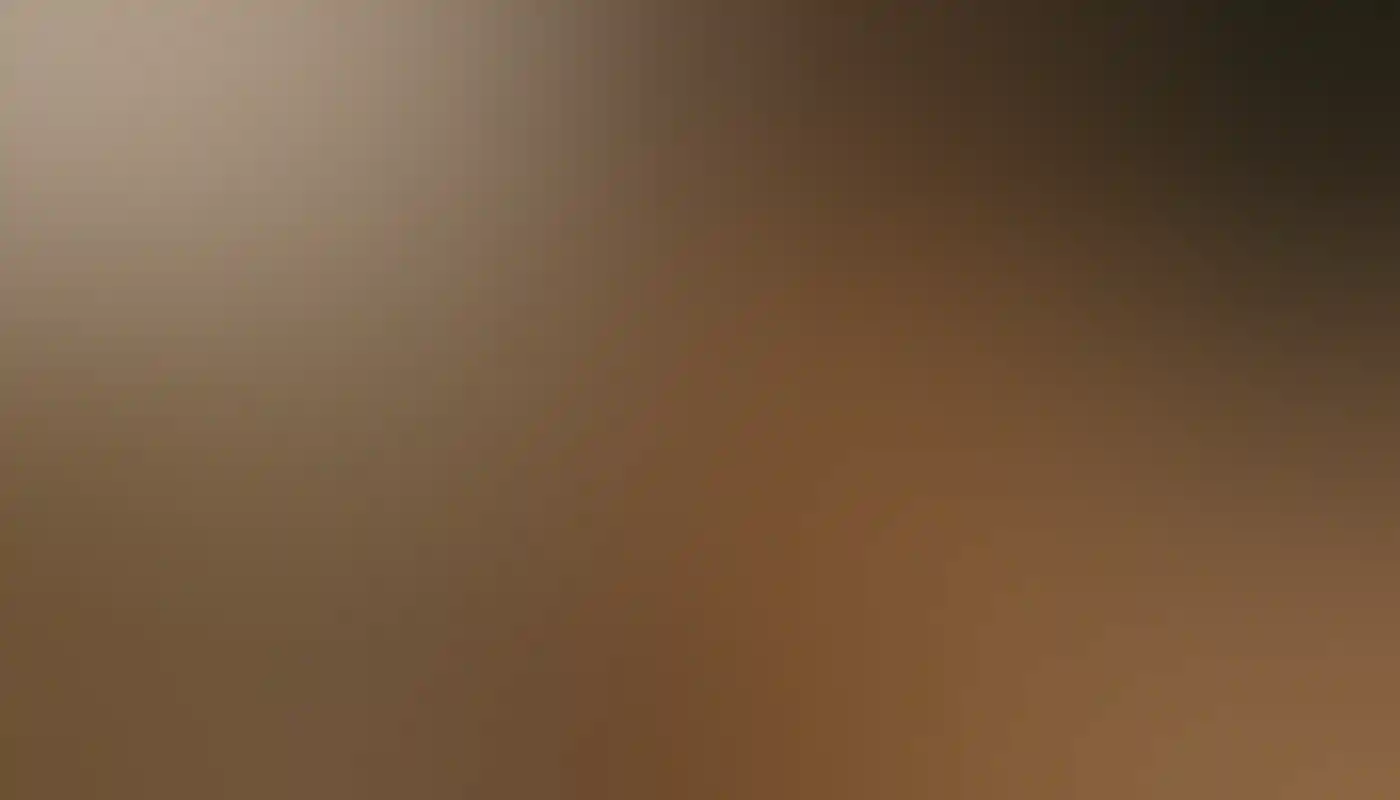 Quokka joey on Rottnest Island