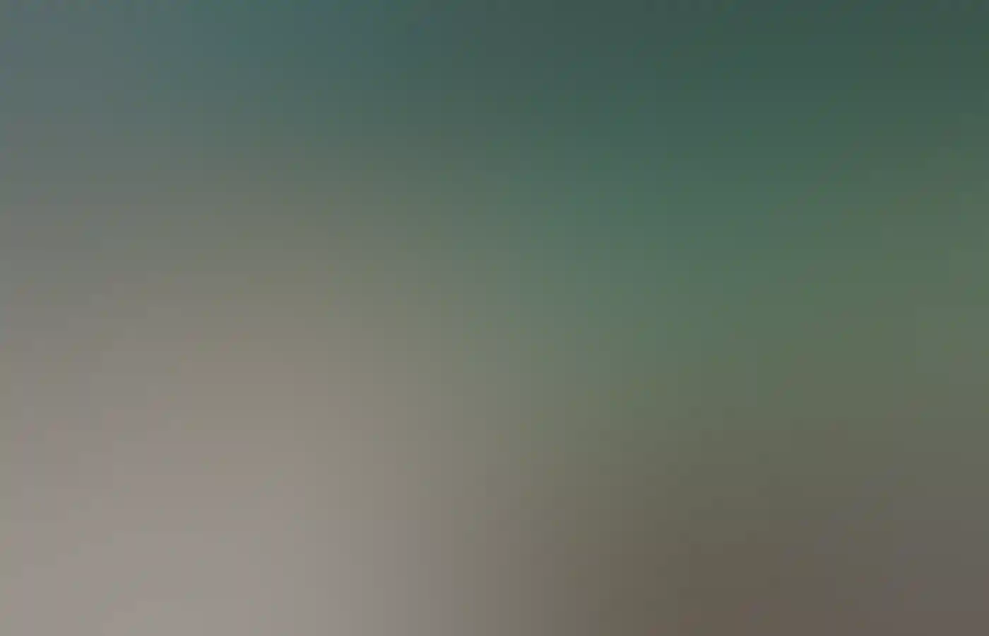 罗特尼斯岛鲑鱼湾