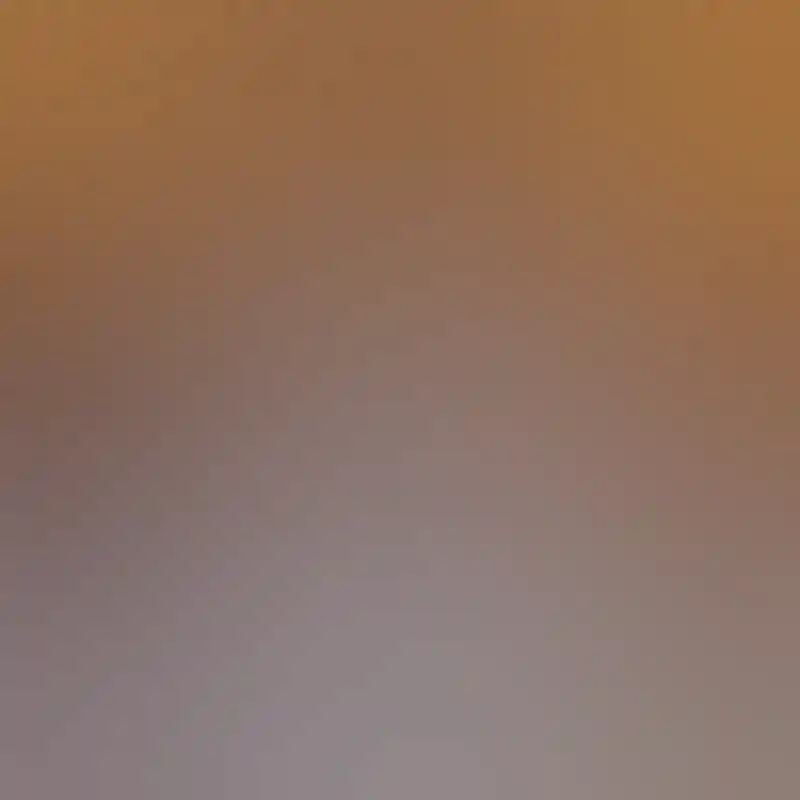 萨尔萨利斯 (Sal Salis)