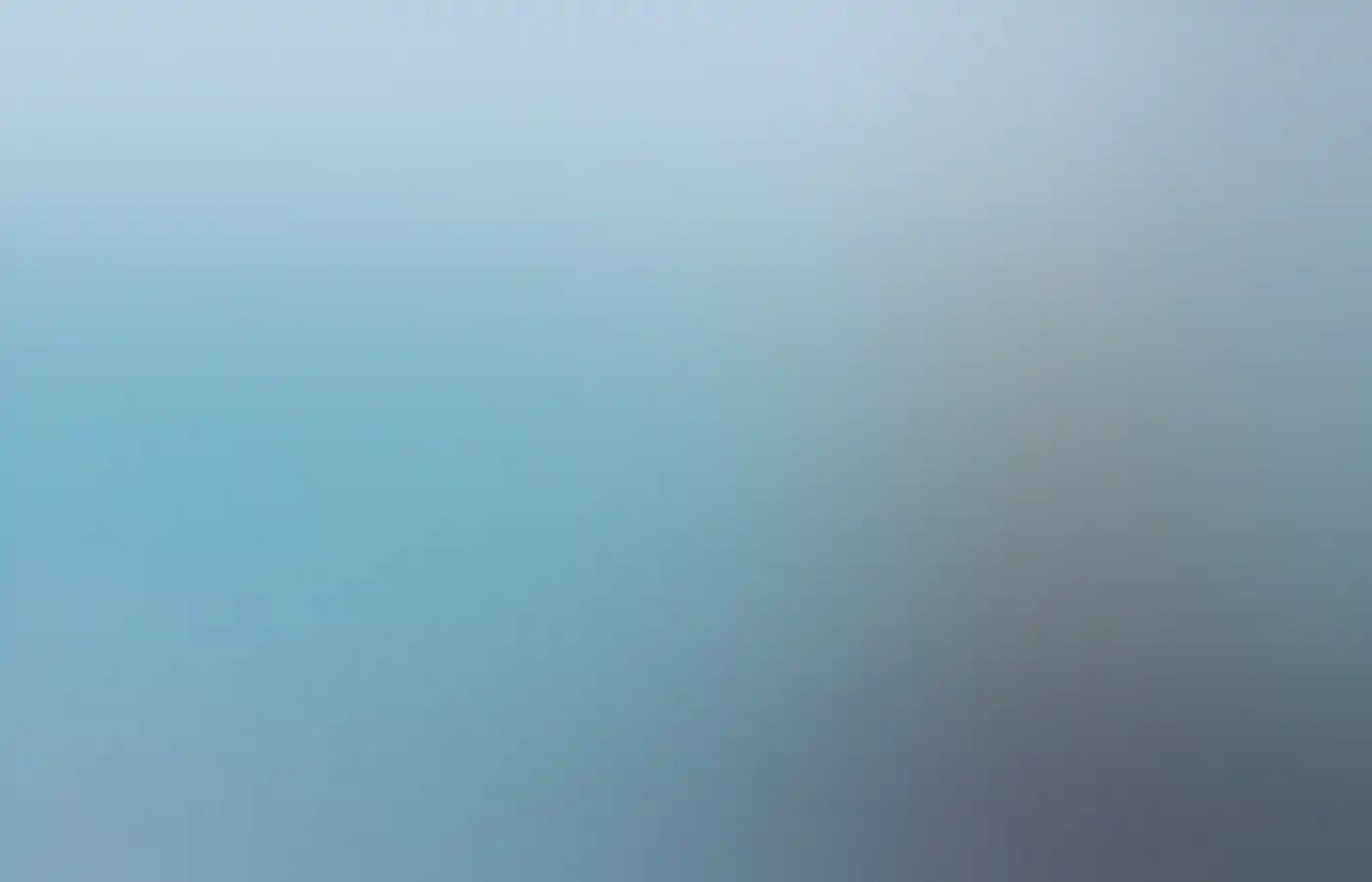 Dolphin swimming with Perth Wildlife Encounters in Rockingham