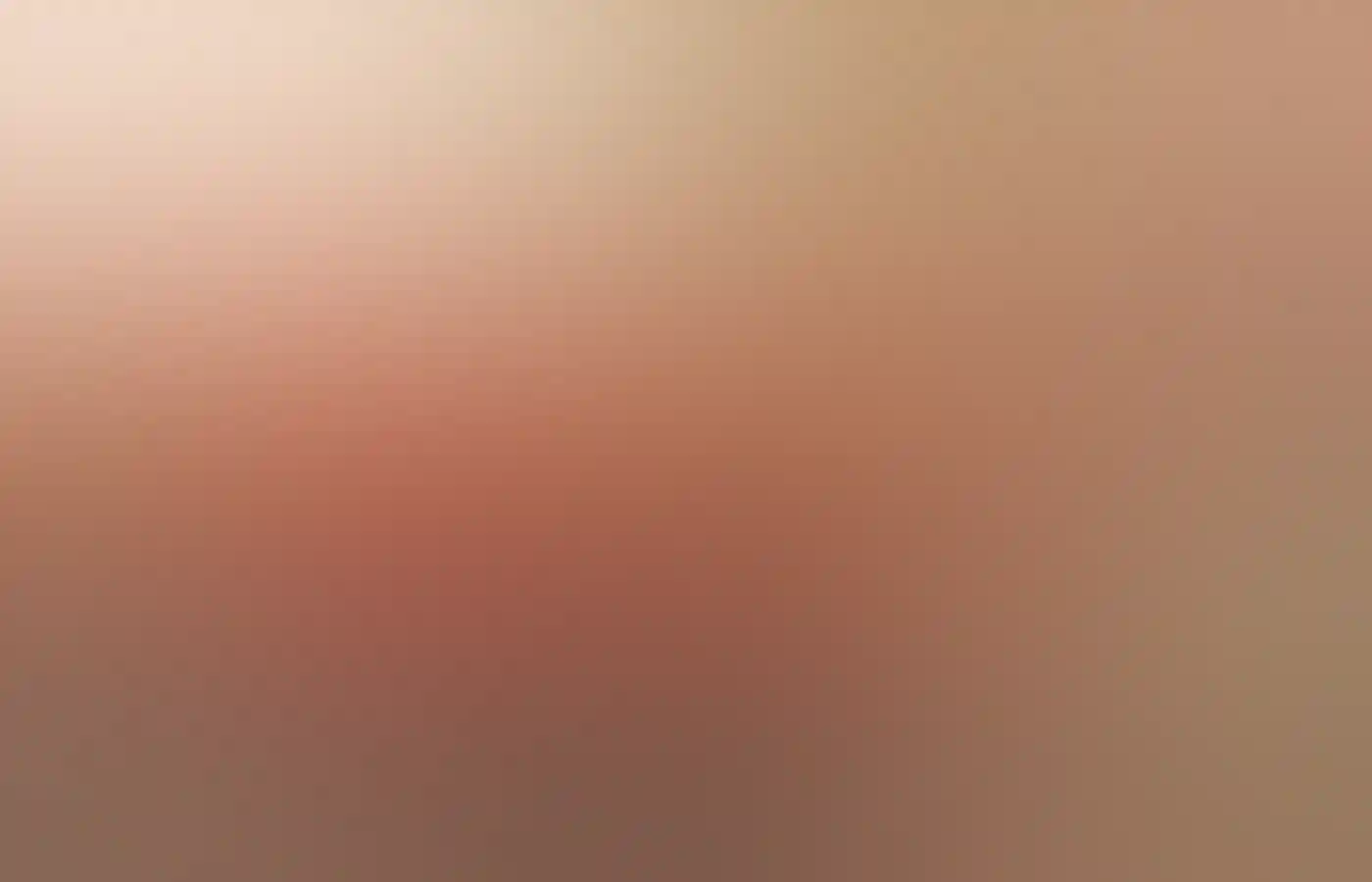 穆尔其森乌伦牧场的野花