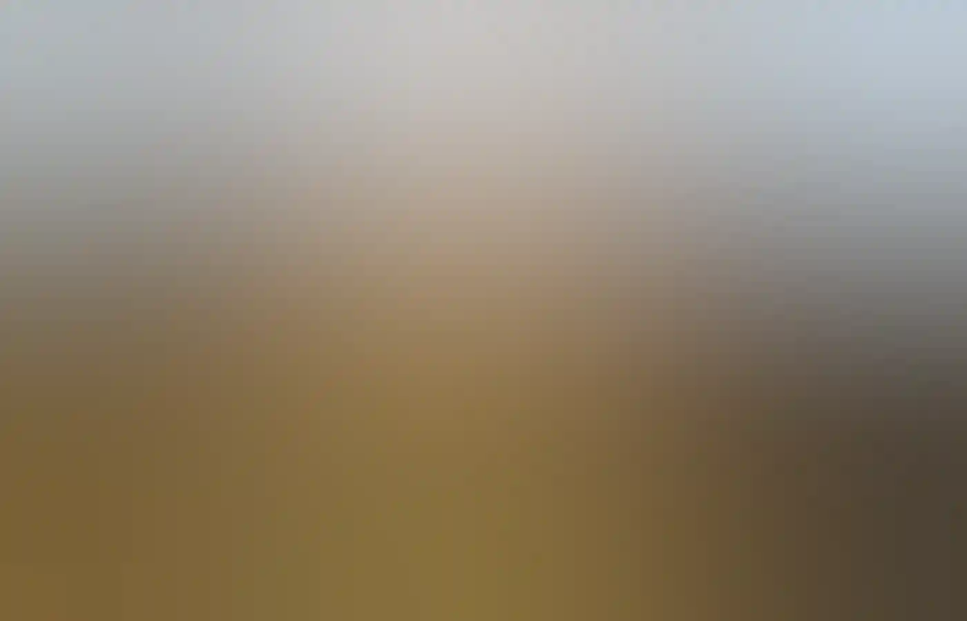 Group on an Aboriginal cultural tour of Kings Park with Nyungar Tours