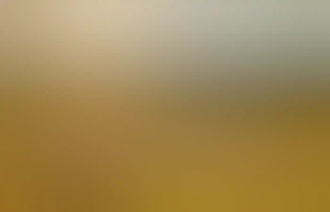 People on a hike in the Perth Hills with The Hike Collective