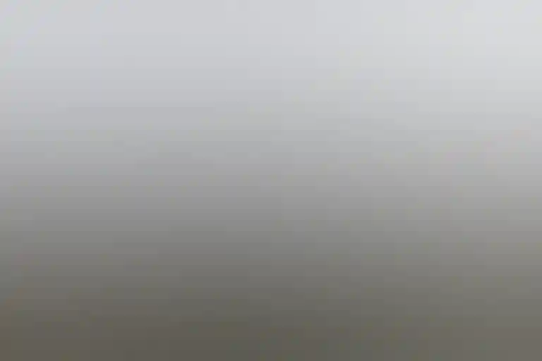 以珀斯 (Perth)城市天际线为背景的国王公园 (Kings Park)鸟瞰图