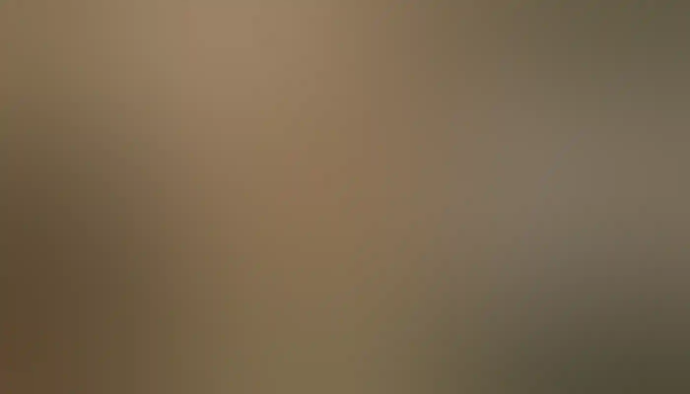 Quokka in the brush on Rottnest Island