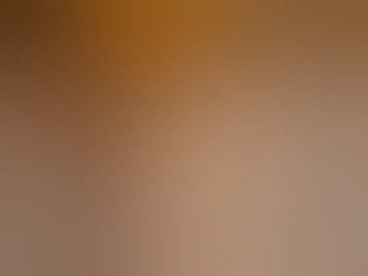 短尾矮袋鼠 (Quokka)罗特尼斯岛 (Rottnest Island)