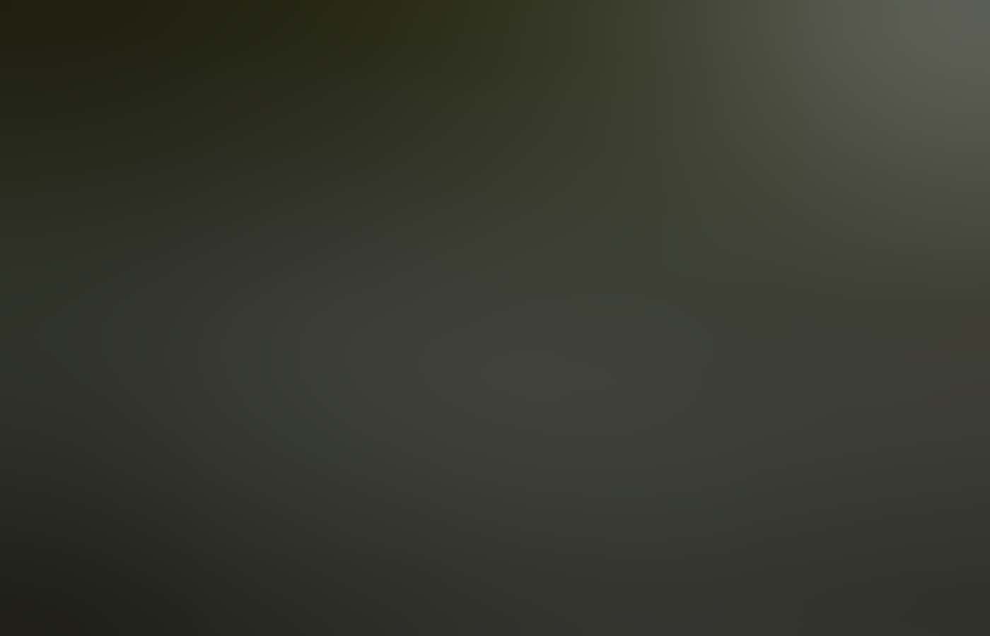 Valley of the Giants Treetop Walk in Walpole