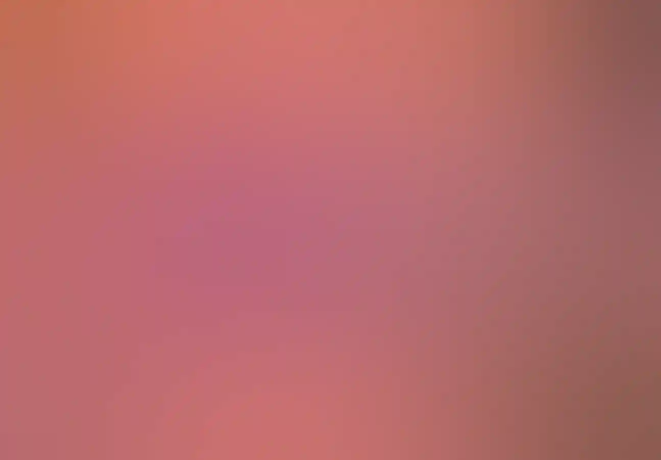 Aerial View of couple enjoying the wildflowers, between Mukinbudin and Bencubbin