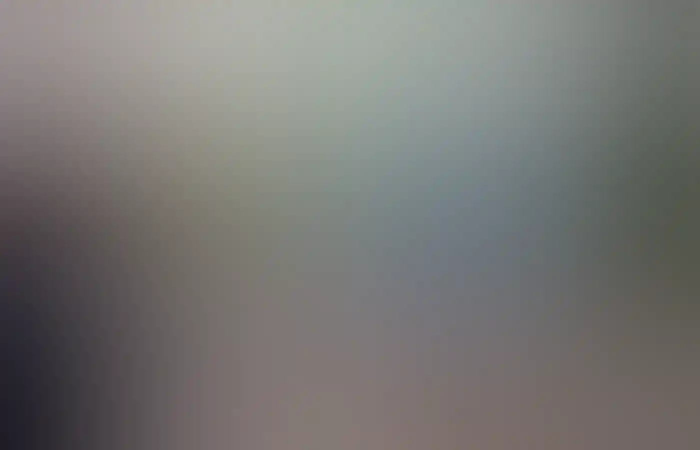 Brad Vitale, Boola Bidi Dreaming