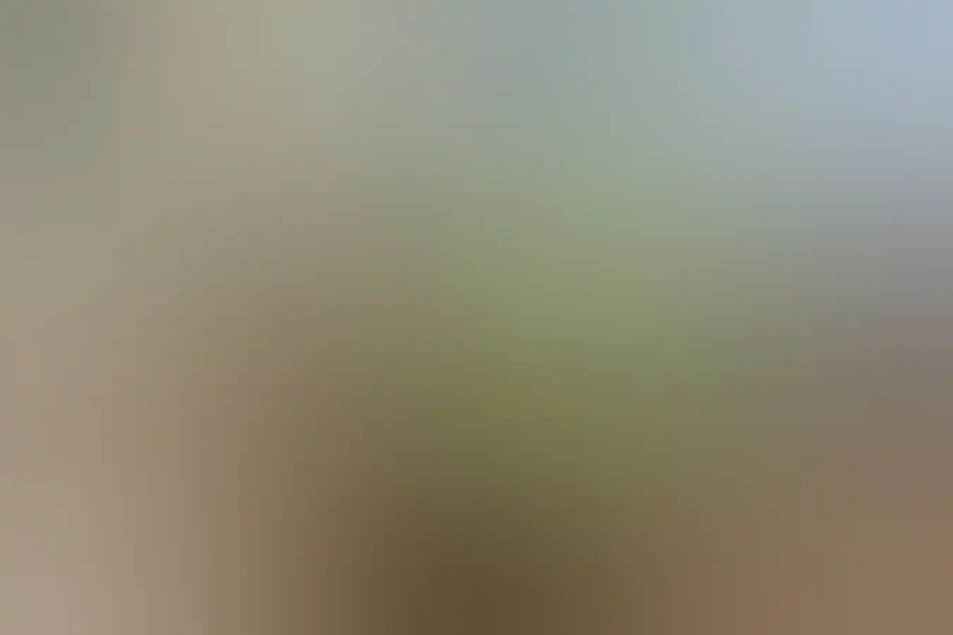 Bowl of seafood at the Taste Great Southern event in Albany