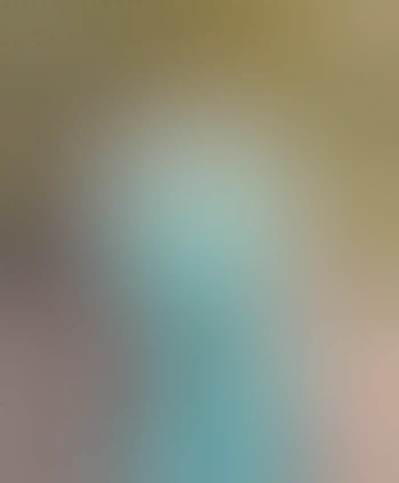 Aerial view of Elephant Rocks, William Bay National Park