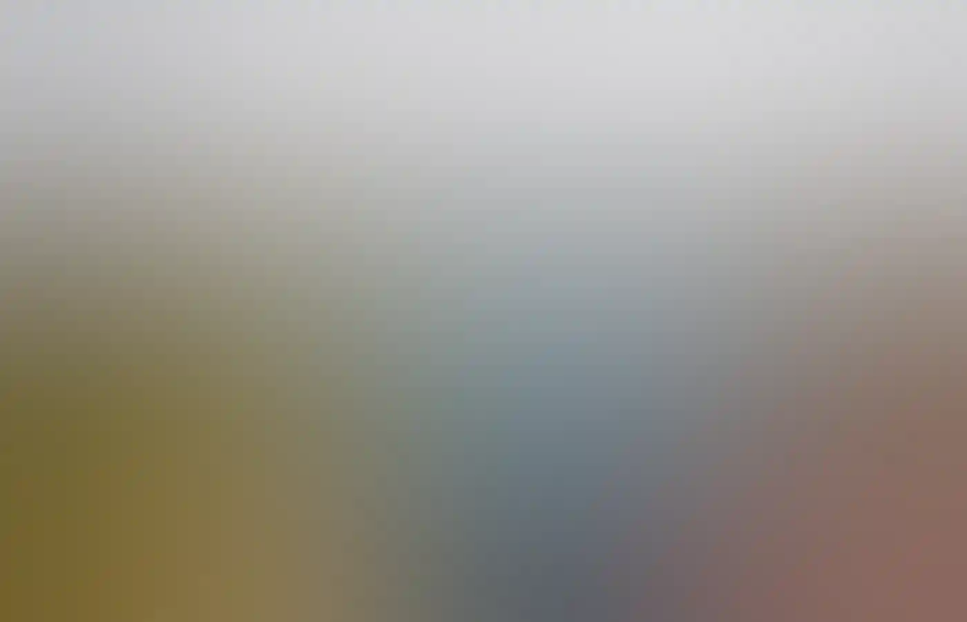 Rosanna, owner of Oolin Sunday Island Cultural Tours, Dampier Peninsula