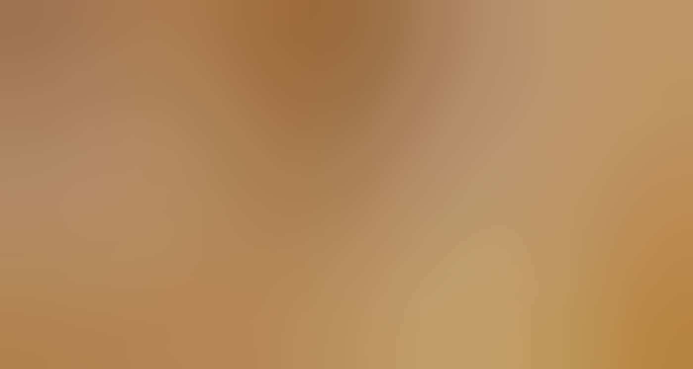 Visitors climbing the golden spiral staircase at the WA Museum Boola Bardip, Perth