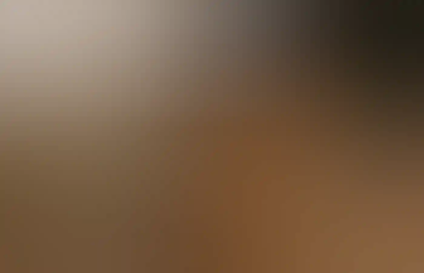 Quokka on Rottnest Island