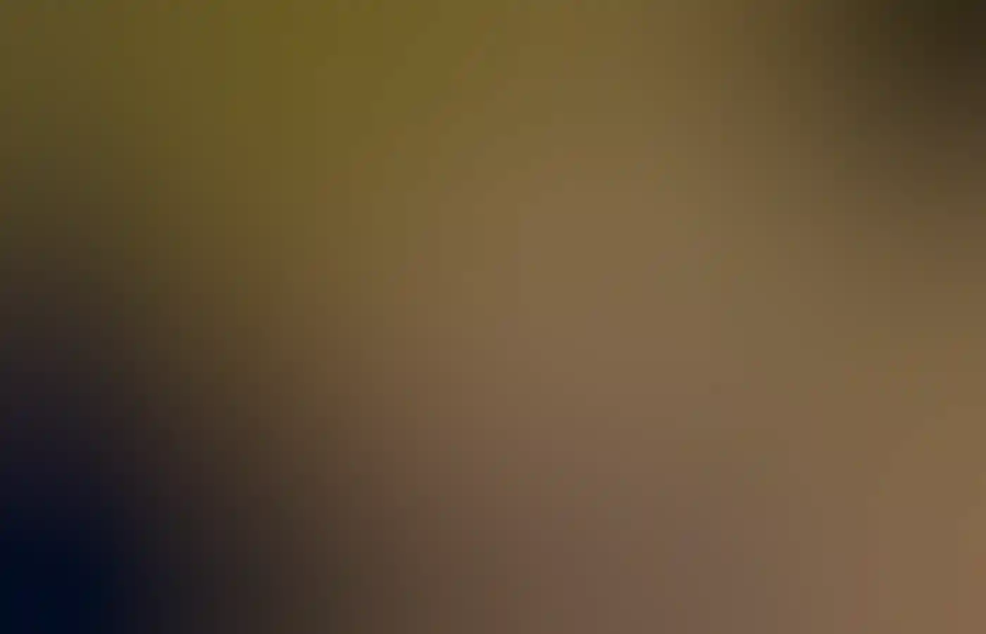 Mangroven-Tour mit Narlijia Experiences, Broome