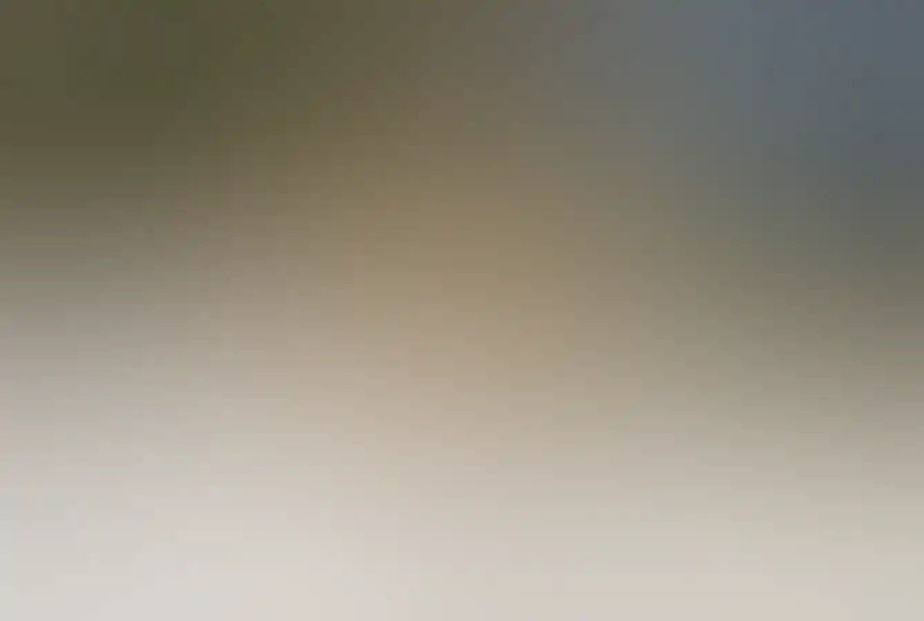 Quokkas on Rottnest Island