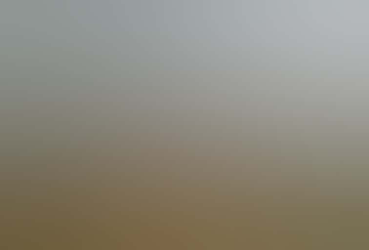 IMAGE_Nine-Mile-Beach.jpg