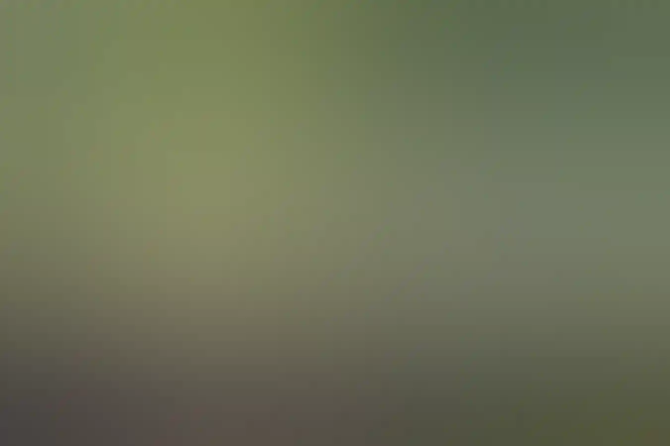 Safari-style tented cabins located at Emma Gorge Resort, El Questro Wilderness Park.